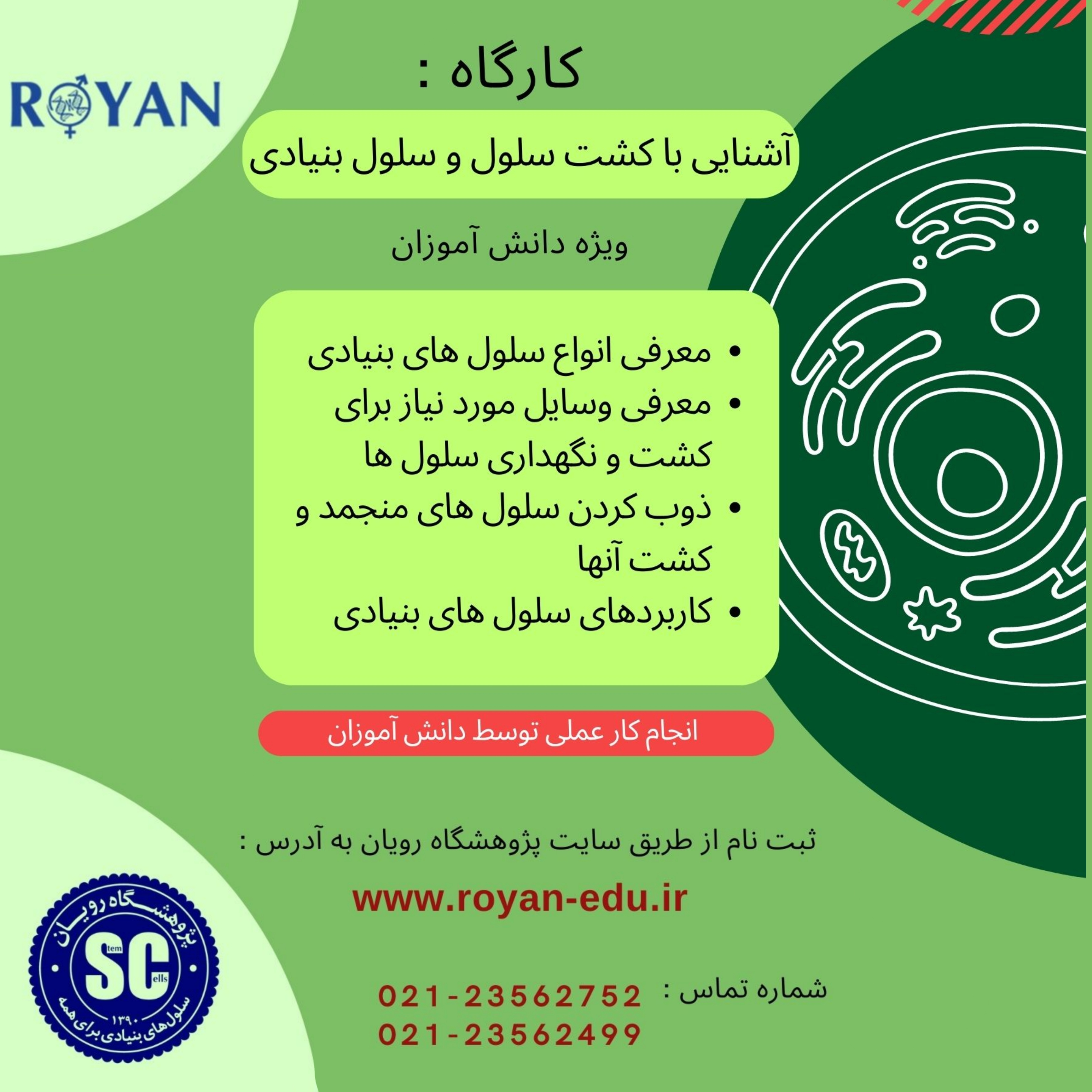 آشنایی با کشت سلول و سلول بنیادی